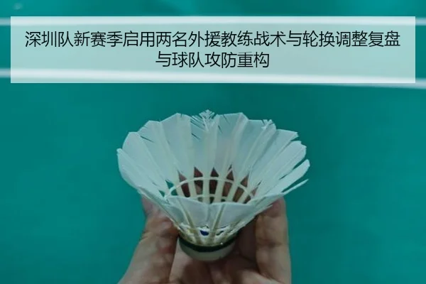 深圳队新赛季启用两名外援教练战术与轮换调整复盘与球队攻防重构
